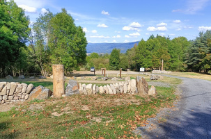 "Des arbres à croquer"_Malvières