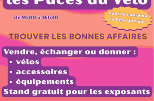 Les Puces du Vélo_Brioude