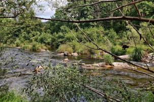 La Loire à Cussac-sur-Loire le 22 août 2021.