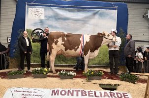 "Solution" fut la grande gagnante de l'élection Miss Montbéliarde Haute-Loire 2024.