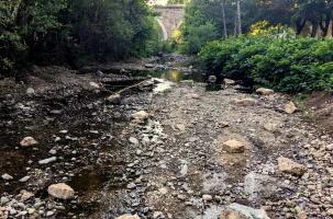L'état dramatique de la rivière Arzon dans la commune de Vorey. 