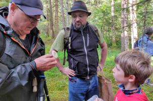 Le groupe mycologique en sortie en forêt de Lamandie à Cistrieres.