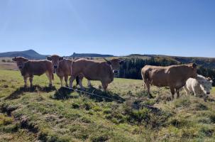 Le secteur agricole Le secteur agricole alerte sur les difficultés qu'il rencontre au quotidien.