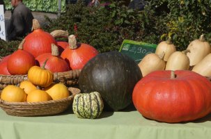 La certification AB est dure à obtenir mais est gage d'une très grande qualité de produits
