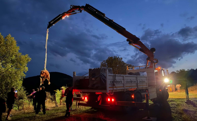 L'opération s'est prolongée jusqu'à la tombée de la nuit