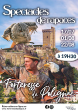 Spectacles rapaces Forteresse de Polignac