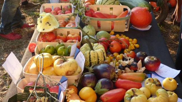 Le bien manger... Une réflexion essentielle pour le bien de tous. 