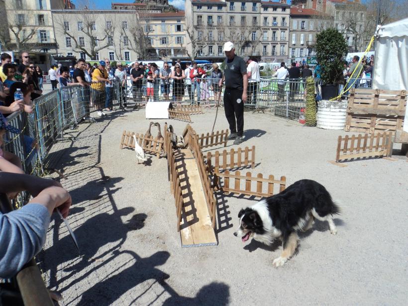L'évènement se tiendra sur la place du Breuil tout le week-end pour le grand public.