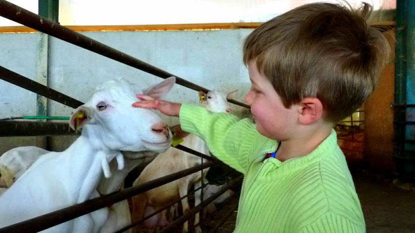 De ferme en ferme c'est l'occasion de rencontrer les producteurs et les animaux.