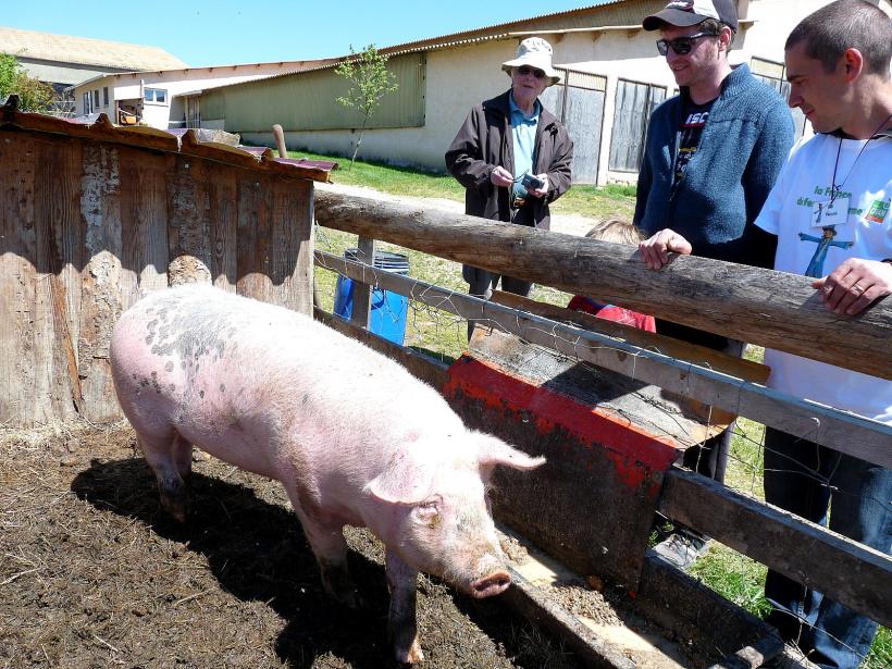 En 2020 près de 6800 visites ont été réalisées sur 17 fermes