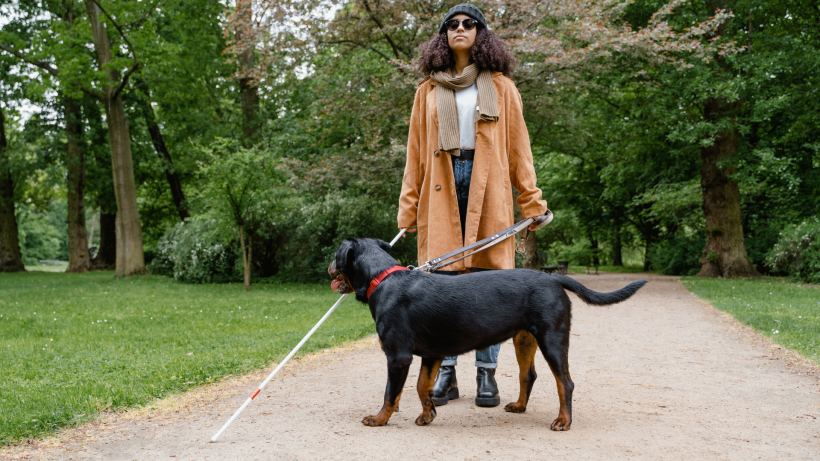 Les chiens guides ont changé la vie de Manon et Sabine.