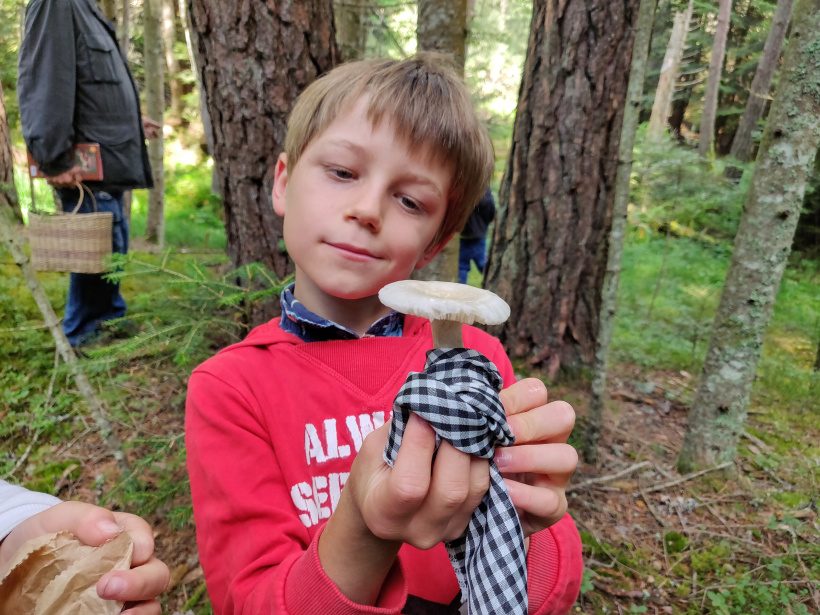 Le groupe mycologique en sortie en forêt de Lamandie à Cistrieres.