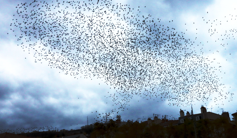 Quand le ciel du Puy se transforme en ballet dansant...